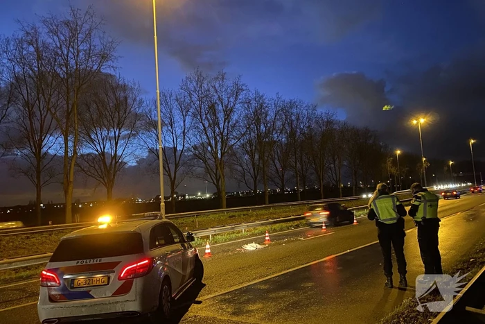 Zwaan aangereden op snelweg