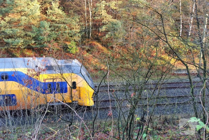Treinen rijden met lastgeving na aanrijding met dier