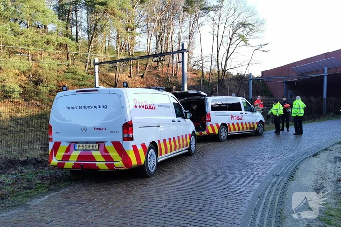 Treinen rijden met lastgeving na aanrijding met dier