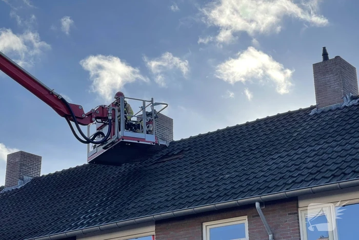 Brandweer blust brand in terrarium