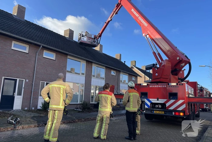 Brandweer blust brand in terrarium