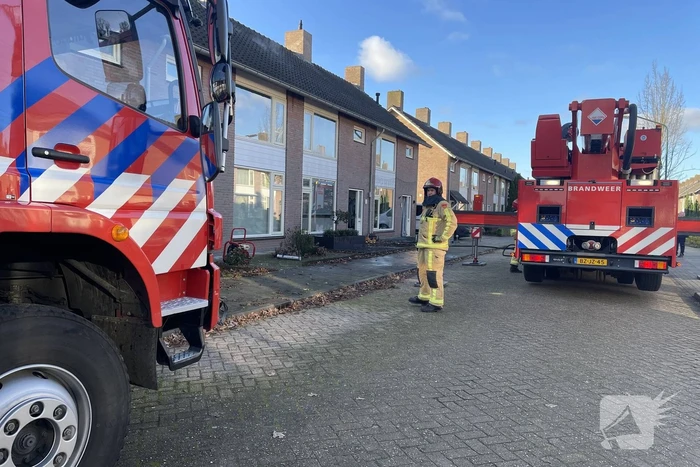 Brandweer blust brand in terrarium