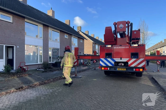 Brandweer blust brand in terrarium