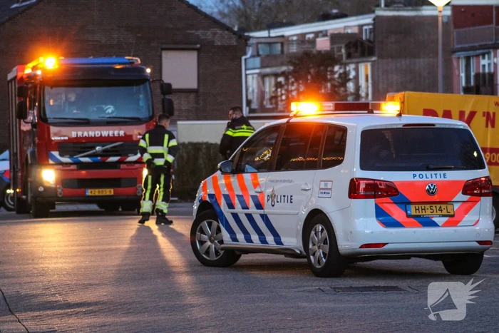 nieuws lokhorsterland hoogvliet rotterdam