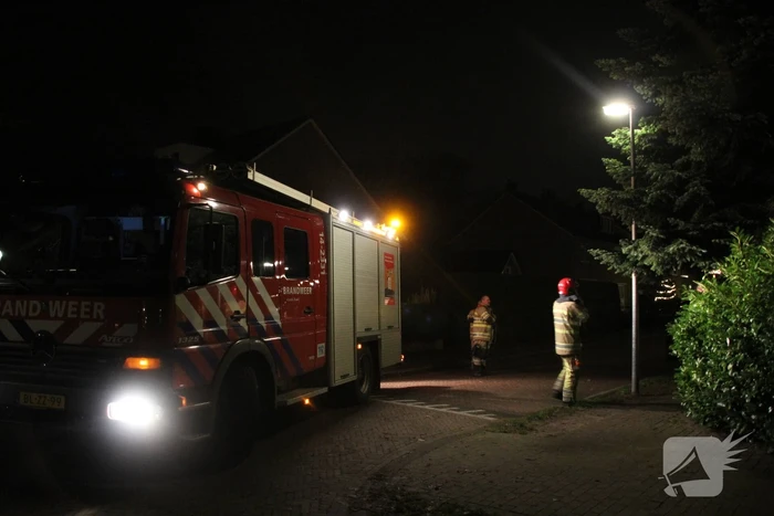 Brandweer laat kat schrikken en vlucht boom uit