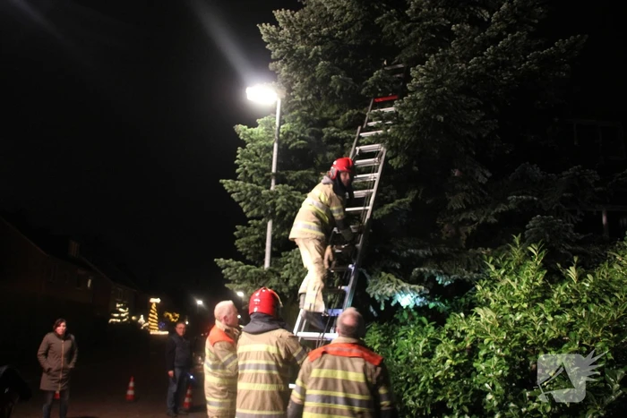 Brandweer laat kat schrikken en vlucht boom uit