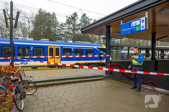 Treinverkeer ligt stil door aanrijding met persoon