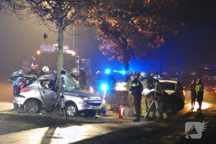 Auto crasht tegen boom