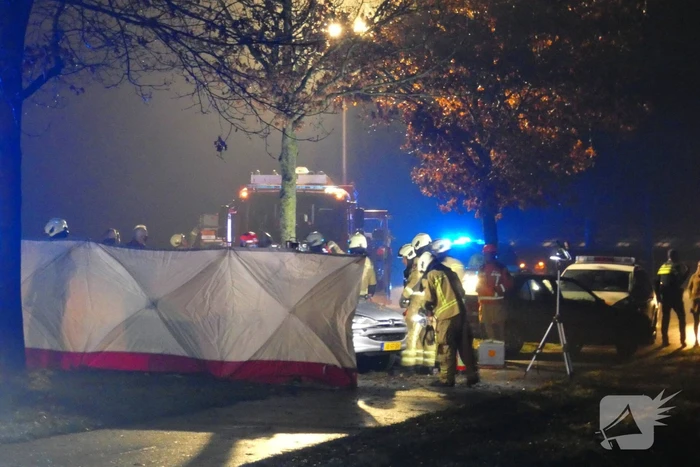 Auto crasht tegen boom