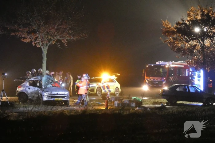 Auto crasht tegen boom