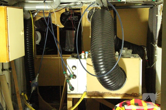 Hennepkwekerij aangetroffen in woning