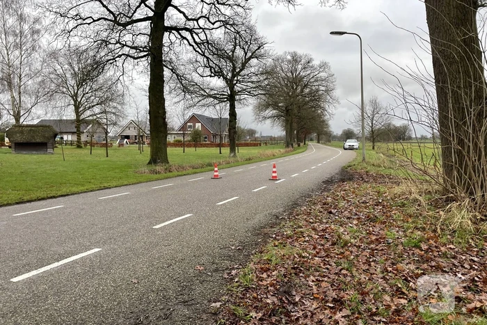 Brandweer redt kat uit een boom