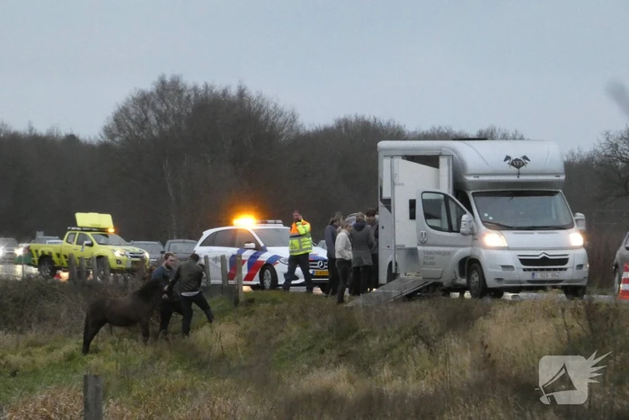 nieuws rijksweg a28 eursinge