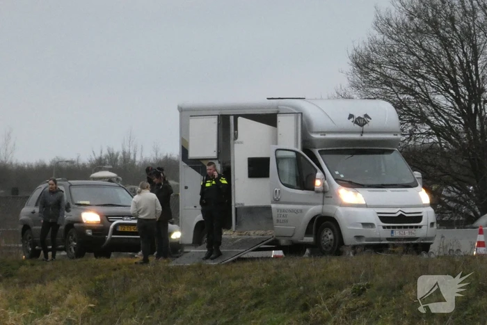 Paard zorgt voor afsluiting van snelweg