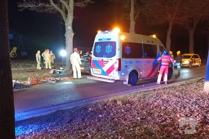 Automobilist ernstig gewond bij botsing tegen boom