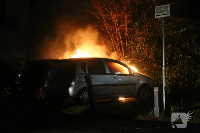 Meerdere auto's verwoest door brand