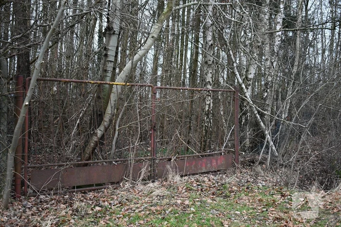 Hulpverleners redden ree uit hekwerk