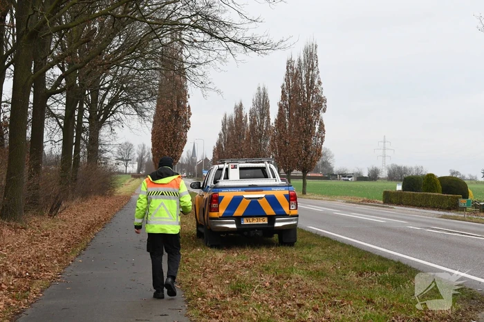 Hulpverleners redden ree uit hekwerk