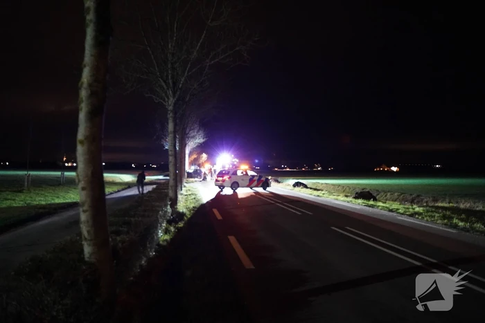 Auto crasht tegen boom