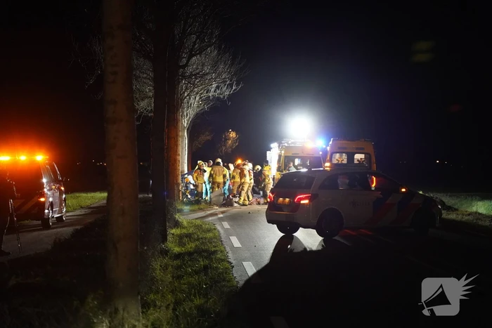 Auto crasht tegen boom