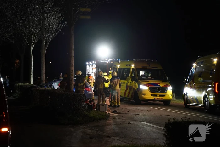 Auto crasht tegen boom