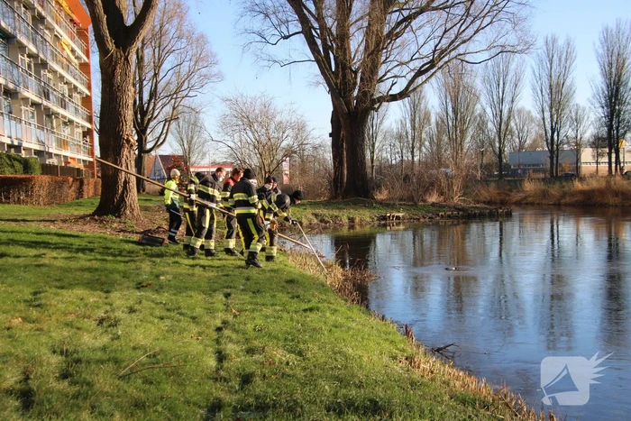 Brandweermannen halen overleden kat uit het water