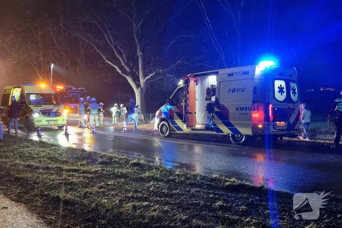 Bestuurder verliest macht over het stuur en komt tot stilstand in sloot