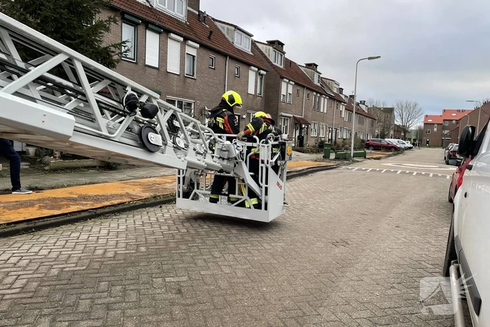 Kat vast op schoorsteen