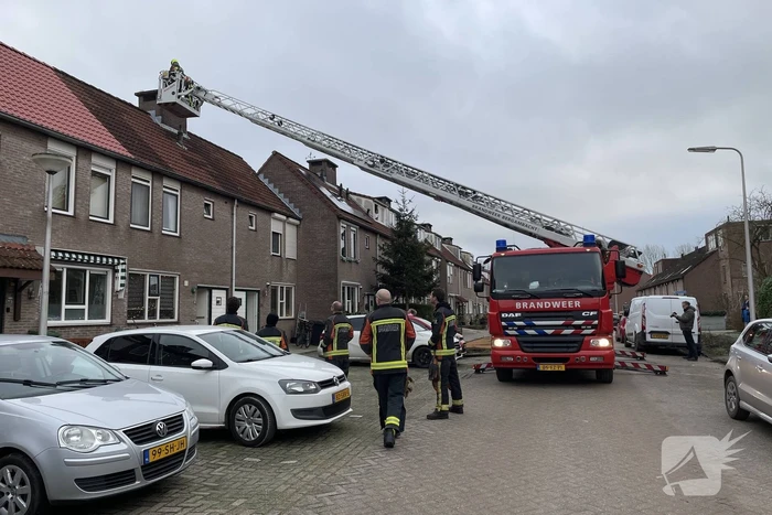 Kat vast op schoorsteen