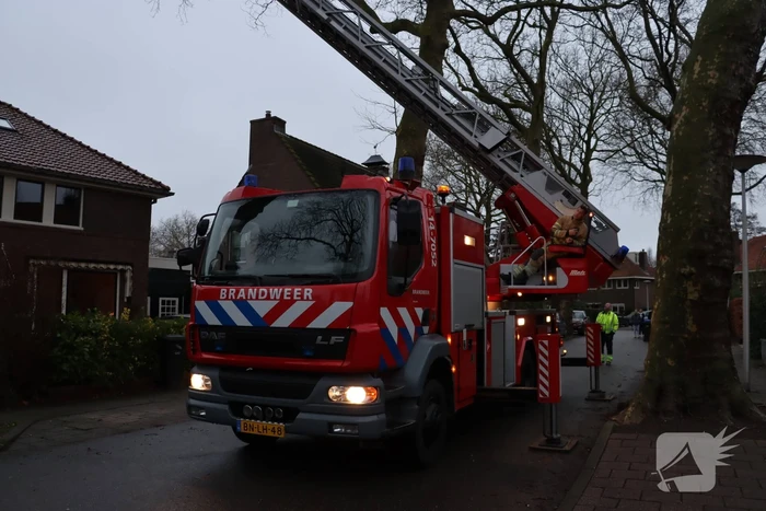 Gevaarlijke hangende tak verwijderd