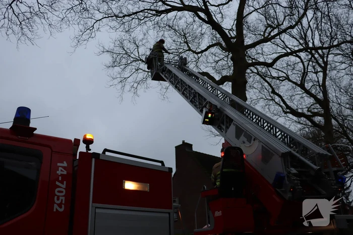 Gevaarlijke hangende tak verwijderd