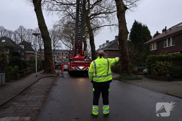 Gevaarlijke hangende tak verwijderd