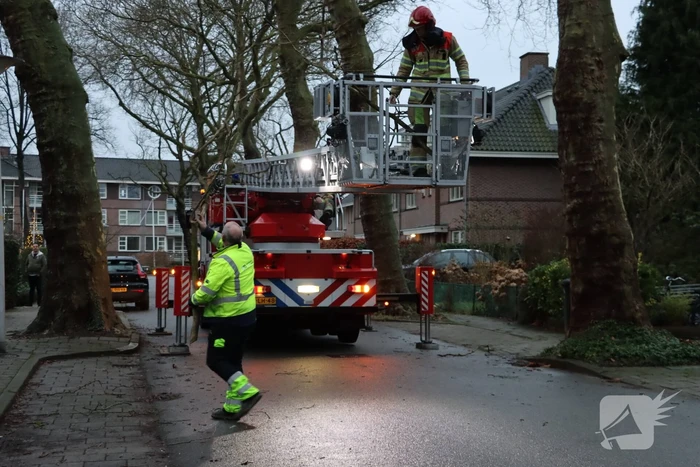 Gevaarlijke hangende tak verwijderd