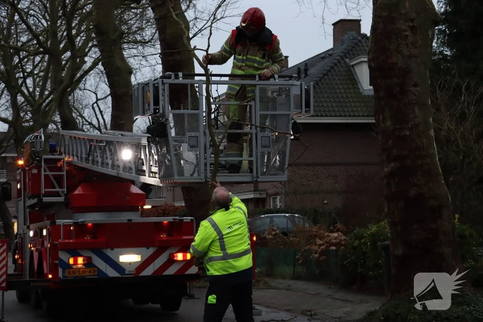 Gevaarlijke hangende tak verwijderd
