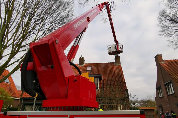 Schoorsteenbrand geveegd met ramoneur