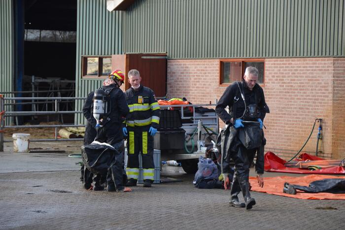 Brandweer uren bezig met redden koeien uit gierkelder
