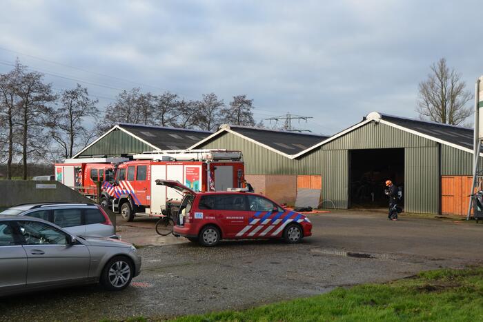 Brandweer uren bezig met redden koeien uit gierkelder