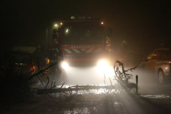 Kerstbomen in brand op kruising