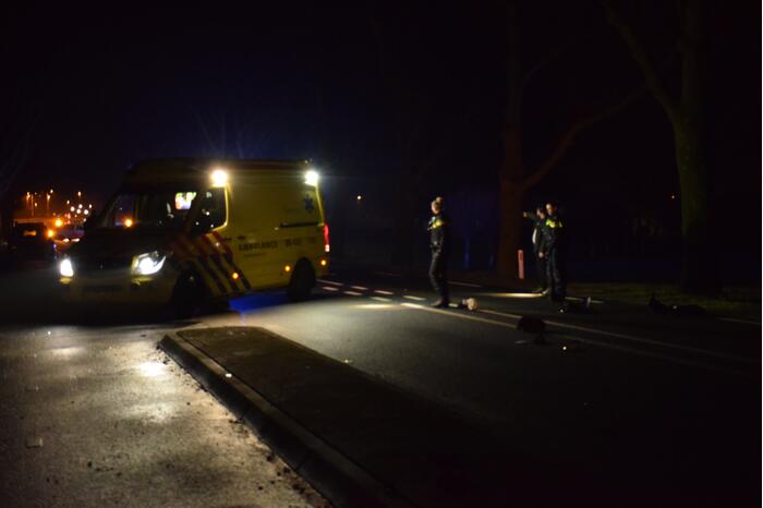 Scooterrijder ernstig gewond bij aanrijding met auto