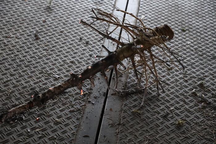 Kerstbomen in brand gestoken in parkeergarage