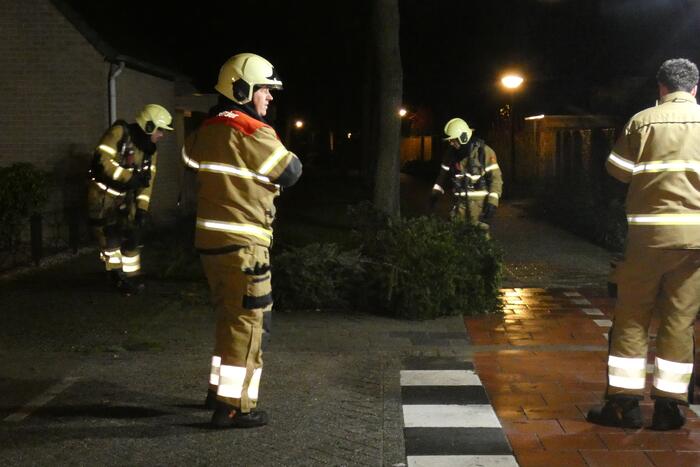 Kerstbomen in brand gestoken