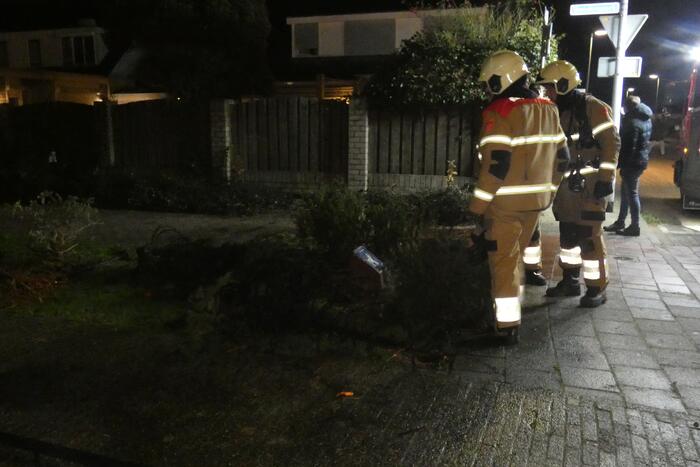 Kerstbomen in brand gestoken