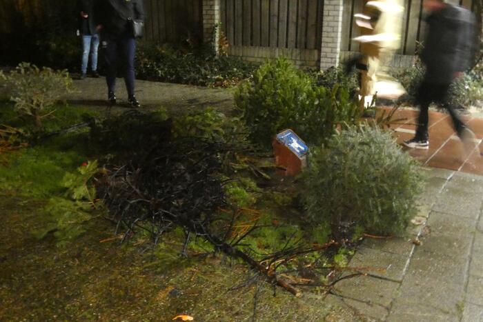 Kerstbomen in brand gestoken