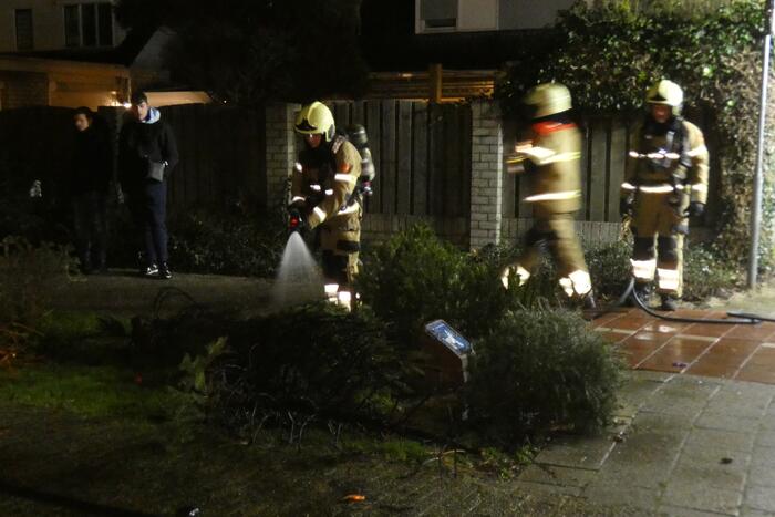Kerstbomen in brand gestoken