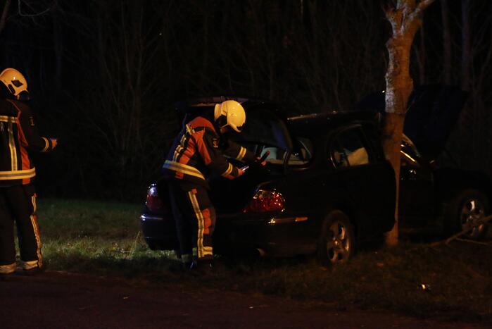 Auto flink beschadigd na aanrijding met boom