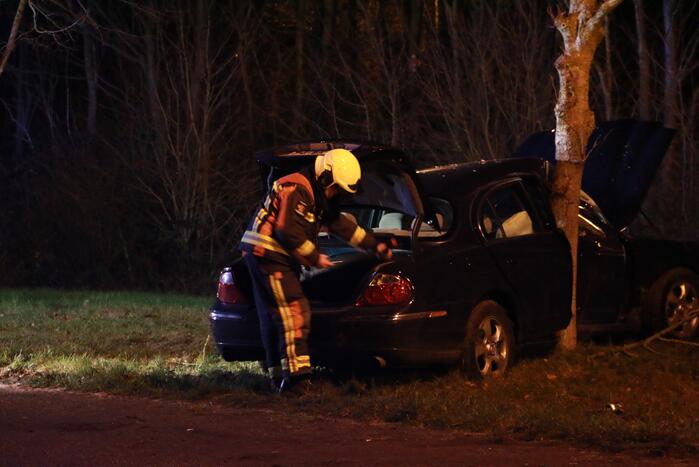 Auto flink beschadigd na aanrijding met boom
