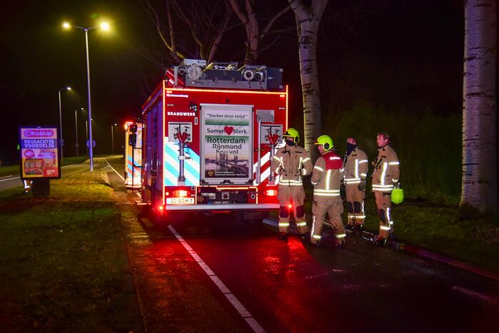 Bestuurder botst met auto frontaal op boom