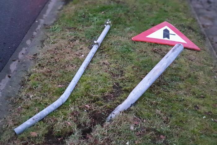 Bestuurder raakt macht over het stuur kwijt en ramt boom