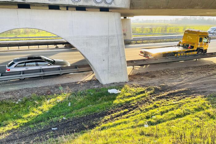 Zwaan overleden bij aanrijding met auto