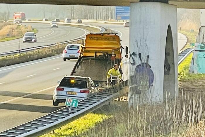 Zwaan overleden bij aanrijding met auto